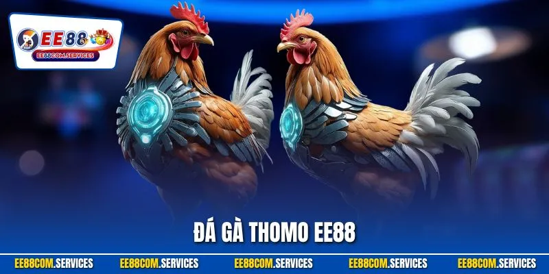 Đá Gà Thomo EE88 | Xem Trực Tiếp – Cược Chuẩn Ăn Đậm 2025